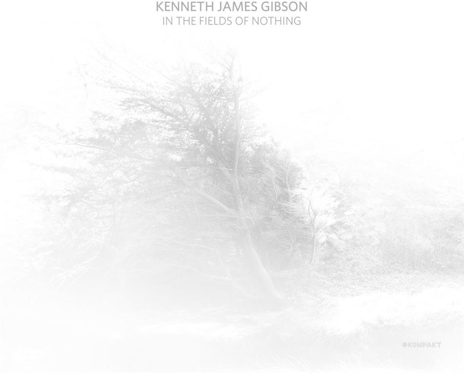 Kenneth James Gibson - In The Fields Of Nothing LP