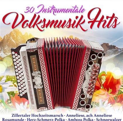 30 instrumentale Volksmusik Hits (2 CDs)
