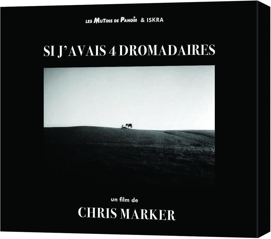 Si j'avais 4 dromadaires b/w