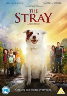 The Stray (2017)