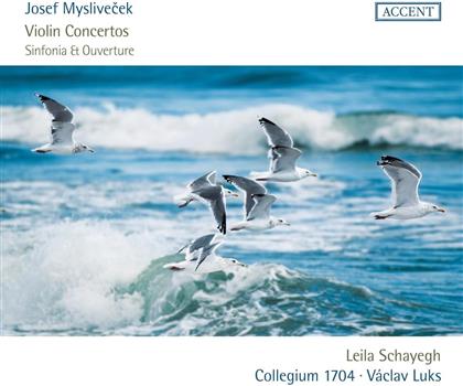 Josef Myslivecek (1737-1781), Vaclav Luks, Leila Schayegh & Collegium 1704 - Violin Concertos, Sinfonia & Ouverture