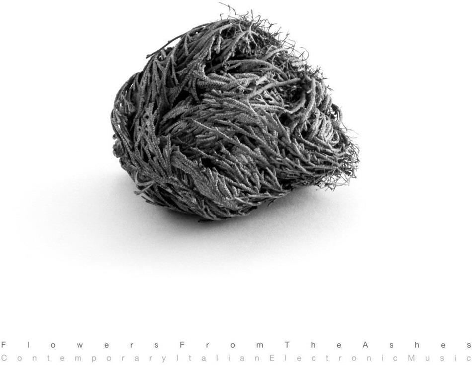 Flowers From The Ashes 2 LPs + Digital Copy