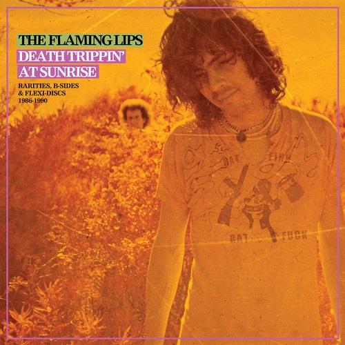 Flaming Lips - Rarities Compilation LP