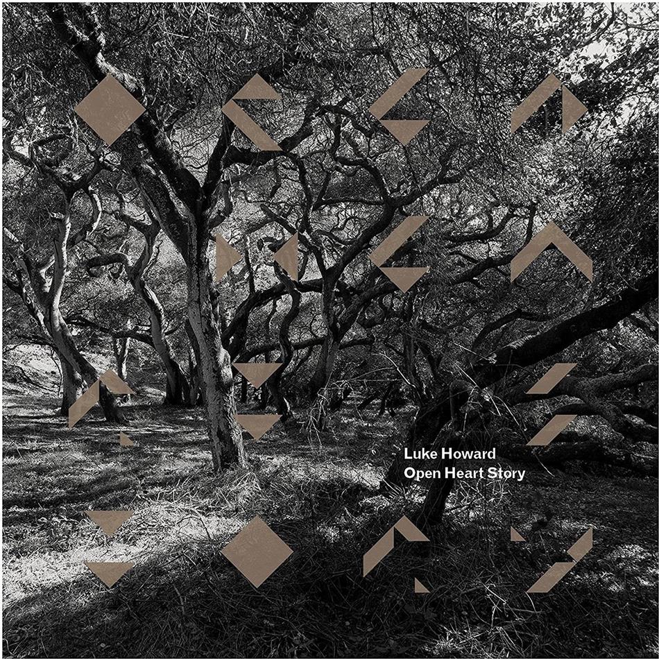 Luke Howard - Open Heart Story LP