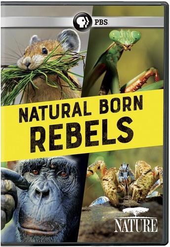 Natural Born Rebels (2017) Nature