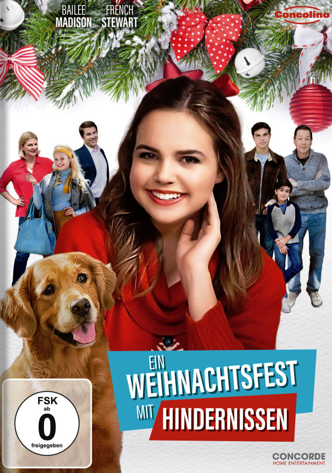 Ein Weihnachtsfest mit Hindernissen (2016)
