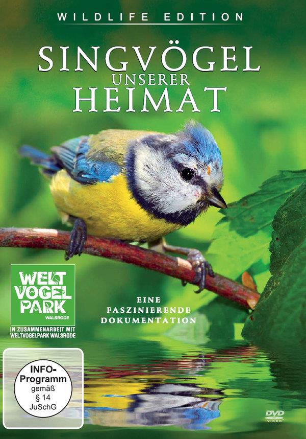 Singvögel unserer Heimat Wildlife Edition