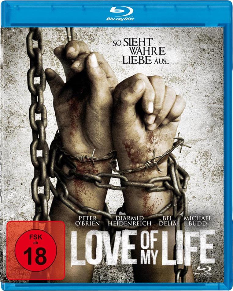 Love Of My Life (2013)