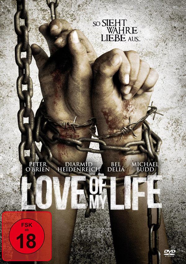 Love Of My Life (2013)