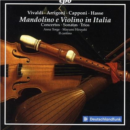 Anna Torge, Mayumi Hirasaki, Antonio Vivaldi (1678-1741), Carlo Arrigoni, &hellip; - Mandolino E Violino In Italia
