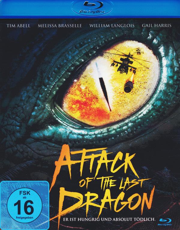 Attack of the Last Dragon (2004)
