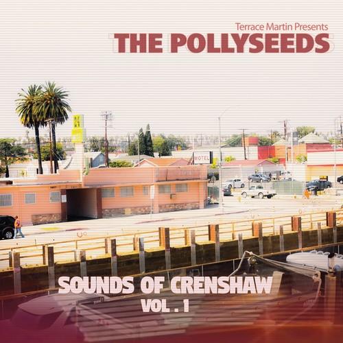 Terrace Martin - Presents The Pollyseeds