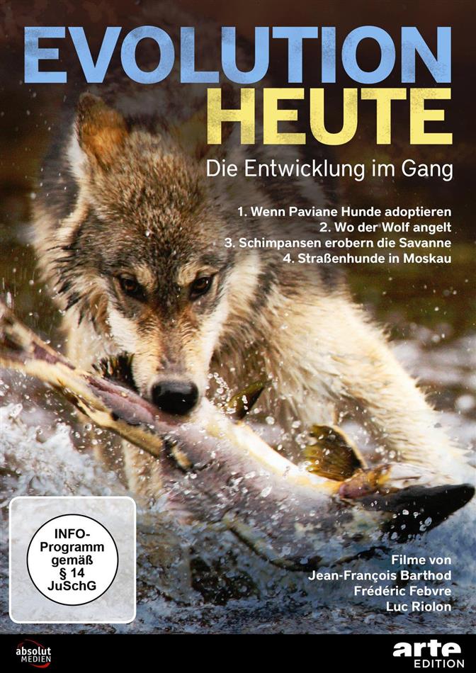 Evolution heute - Die Entwicklung im Gang