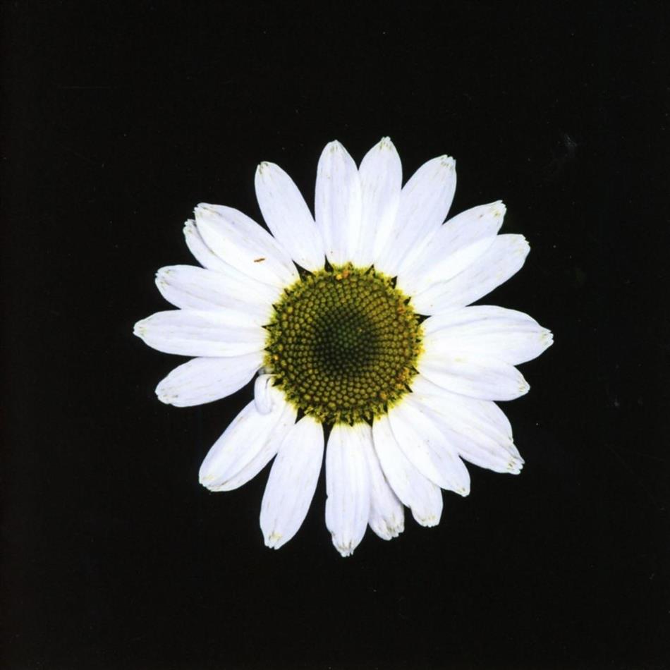 Black Dog - Black Daisy Wheel