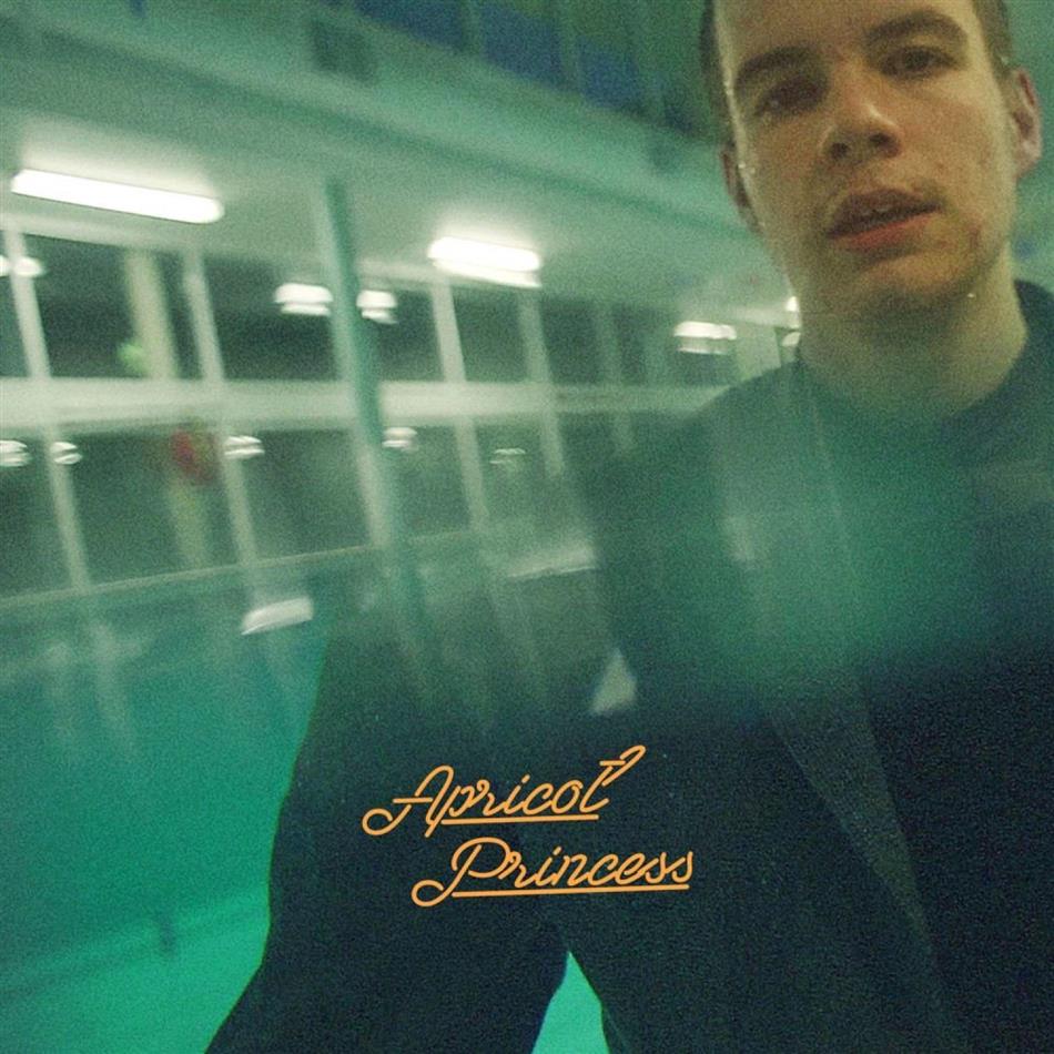 Rex Orange County - Apricot Princess Orange Vinyl, LP