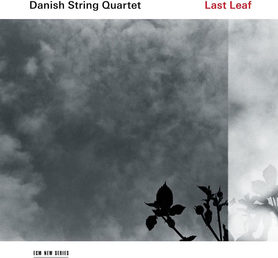 Danish String Quartet - Last Leaf LP