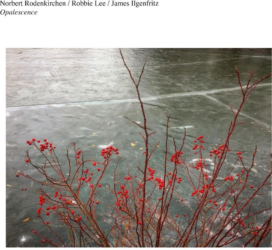 Robbie Lee & Norbert Rodenkirchen - Opalescence
