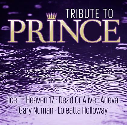 Tribute To Prince