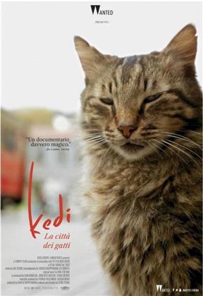 Kedi - La città dei gatti (2016)