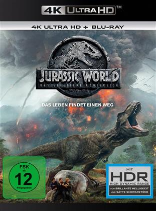 Jurassic World 2 - Das gefallene K&ouml;nigreich (2018) (4K Ultra HD + Blu-ray)