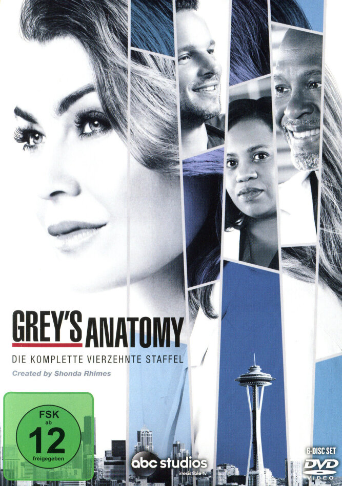 Grey's Anatomy - Staffel 14 6 DVD