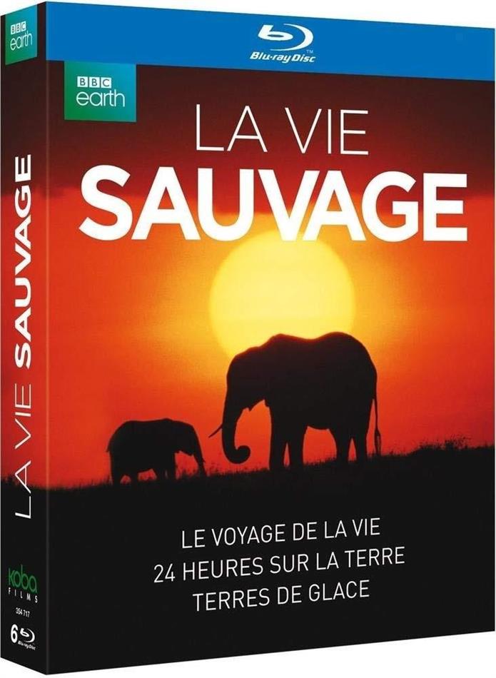 La vie sauvage BBC Earth, 6 Blu-rays