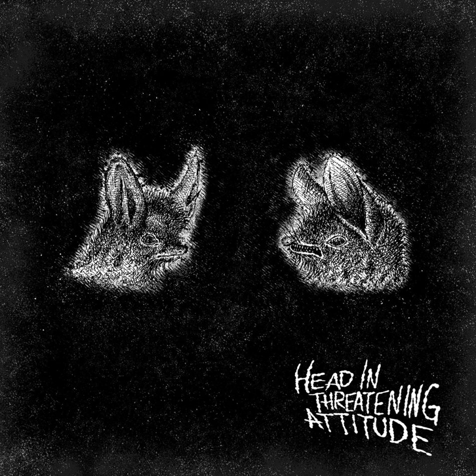 Natterers - Head In Threatening Attitude LP