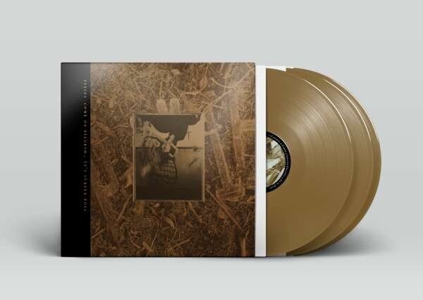 Pixies - Come On Pilgrim... It's Surfer Rosa 30th Anniversary Edition, Gold Vinyl, 3 LPs