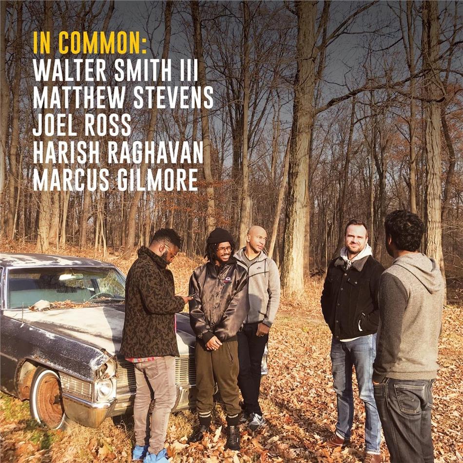 Matthew Stevens & Walter Smith III - In Common LP