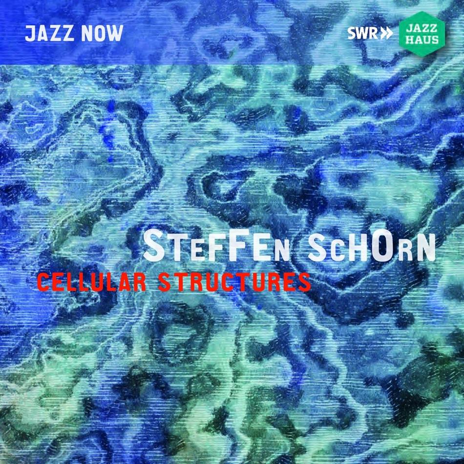 Steffen Schorn - Cellular Structures
