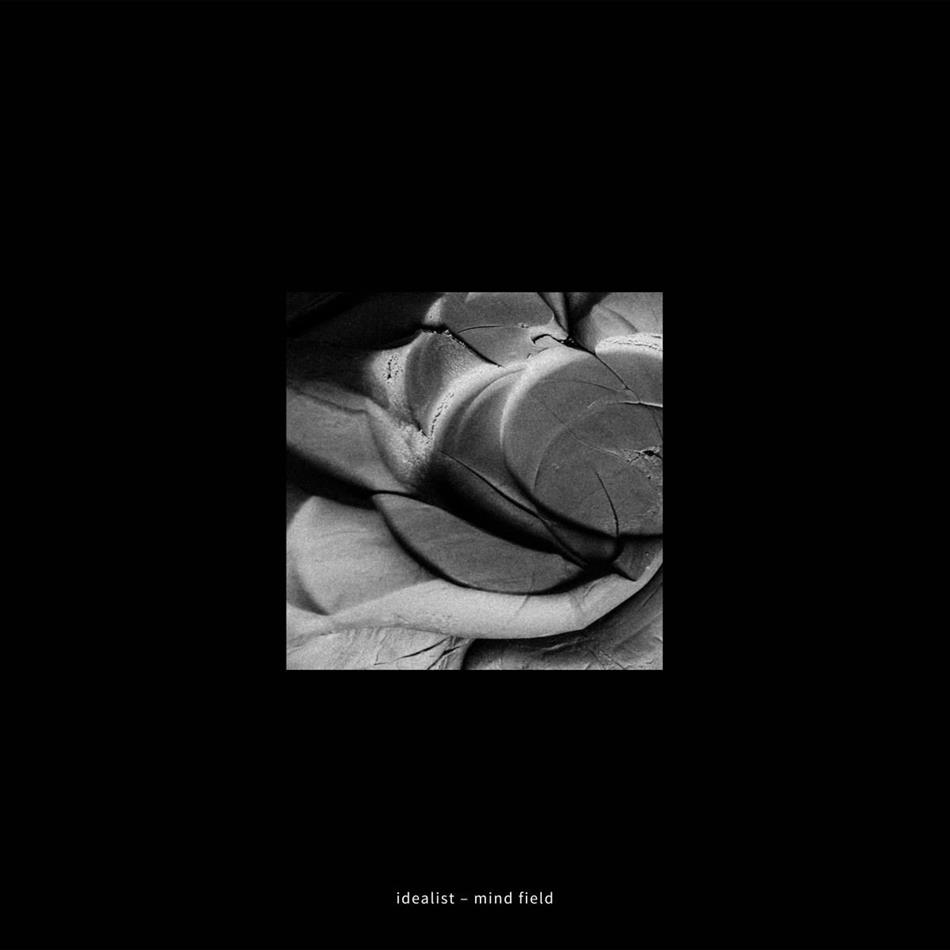 Idealist - Mind Field LP
