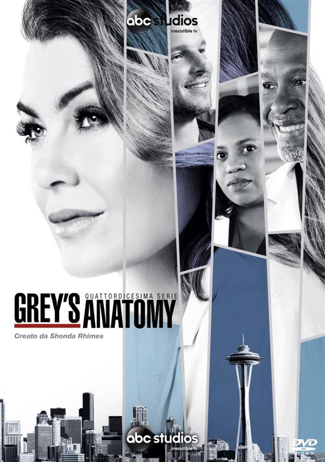 Grey's Anatomy - Stagione 14 6 DVD