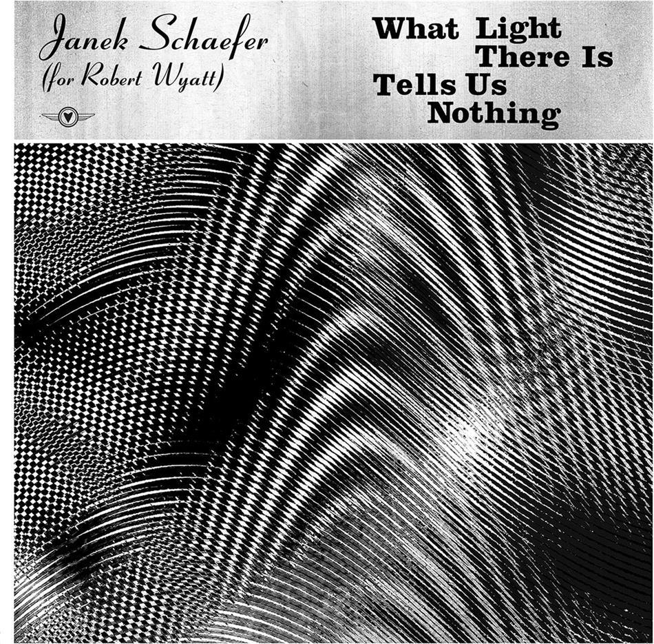 Janek Schaefer - What Light There Is Tells Us Nothing