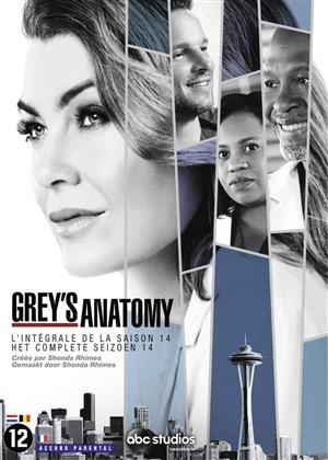 Grey's Anatomy - Saison 14 (6 DVDs)