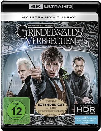 Phantastische Tierwesen 2 - Grindelwalds Verbrechen (2018) (Extended Edition, Version Cinéma, 4K Ultra HD + 2 Blu-ray)