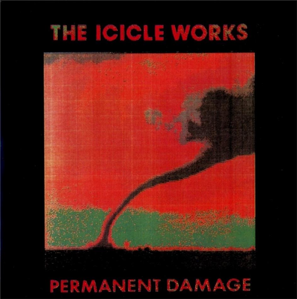 The Icicle Works - Permanent Damage 2018 Reissue
