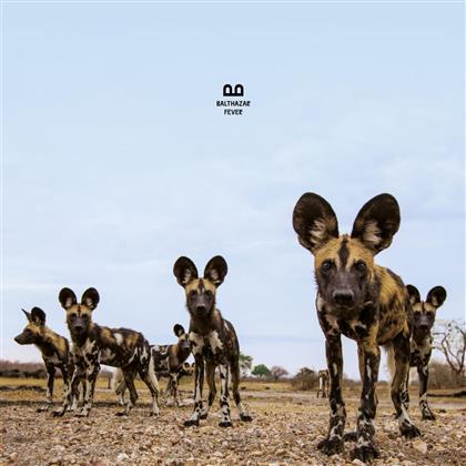 Balthazar (Belgium) - Fever (LP)