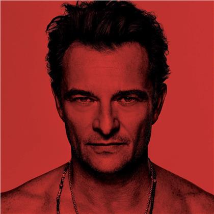 David Hallyday - Jai Quelque Chose A Vous Dire (LP)