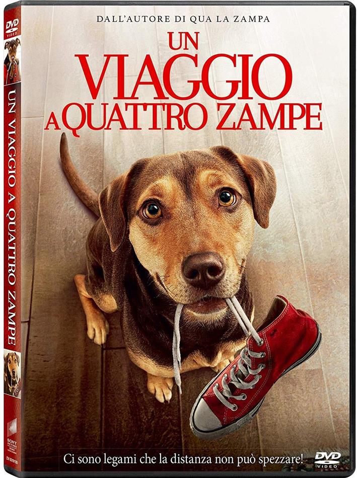 Un viaggio a quattro zampe (2019)