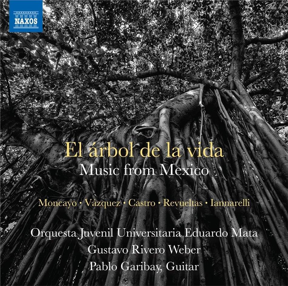 Orquesta Juvenil Universitaria Eduardo Mata & Pablo Garibay - El Arbol De La Vida - Music From Mexico