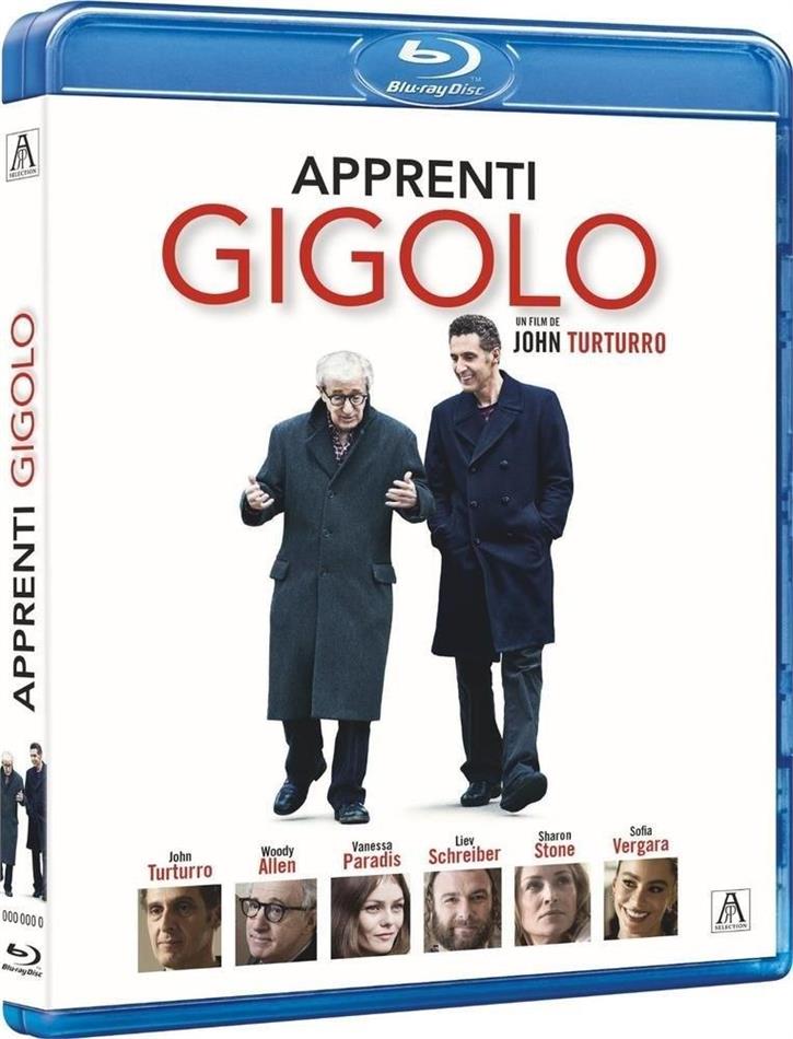 Apprenti Gigolo (2013)