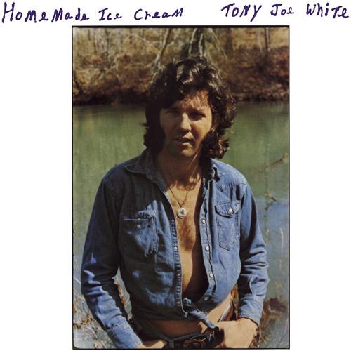 Tony Joe White - Homemade Ice Cream 45 RPM, 2 LP