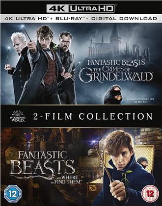 Fantastic Beasts and where to find them / The Crimes of Grindelwald - 2-Film Collection (2 4K Ultra HDs + 2 Blu-rays)