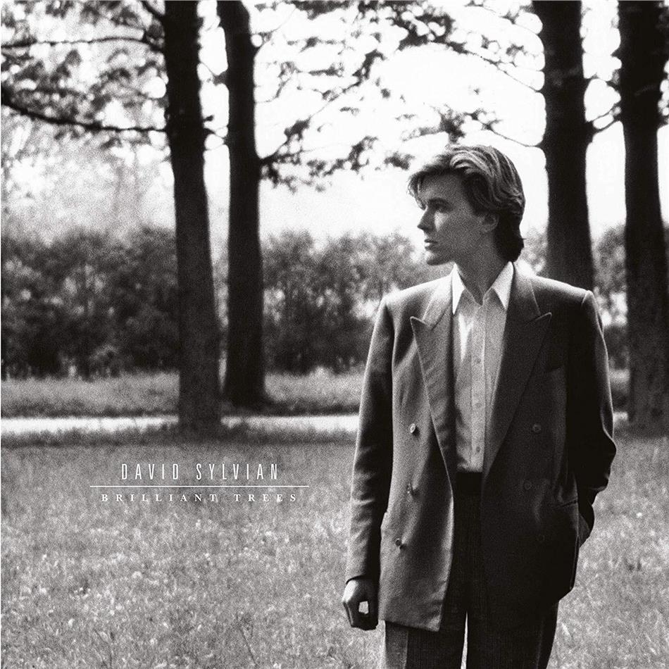 David Sylvian (Japan) - Brilliant Trees 2019 Reissue, LP
