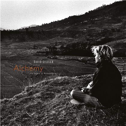 David Sylvian (Japan) - Alchemy (2019 Reissue, LP)