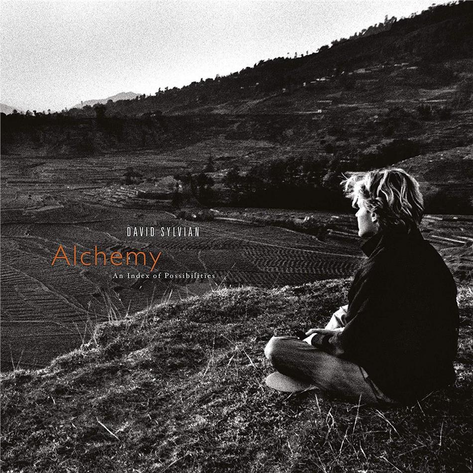 David Sylvian (Japan) - Alchemy 2019 Reissue, LP
