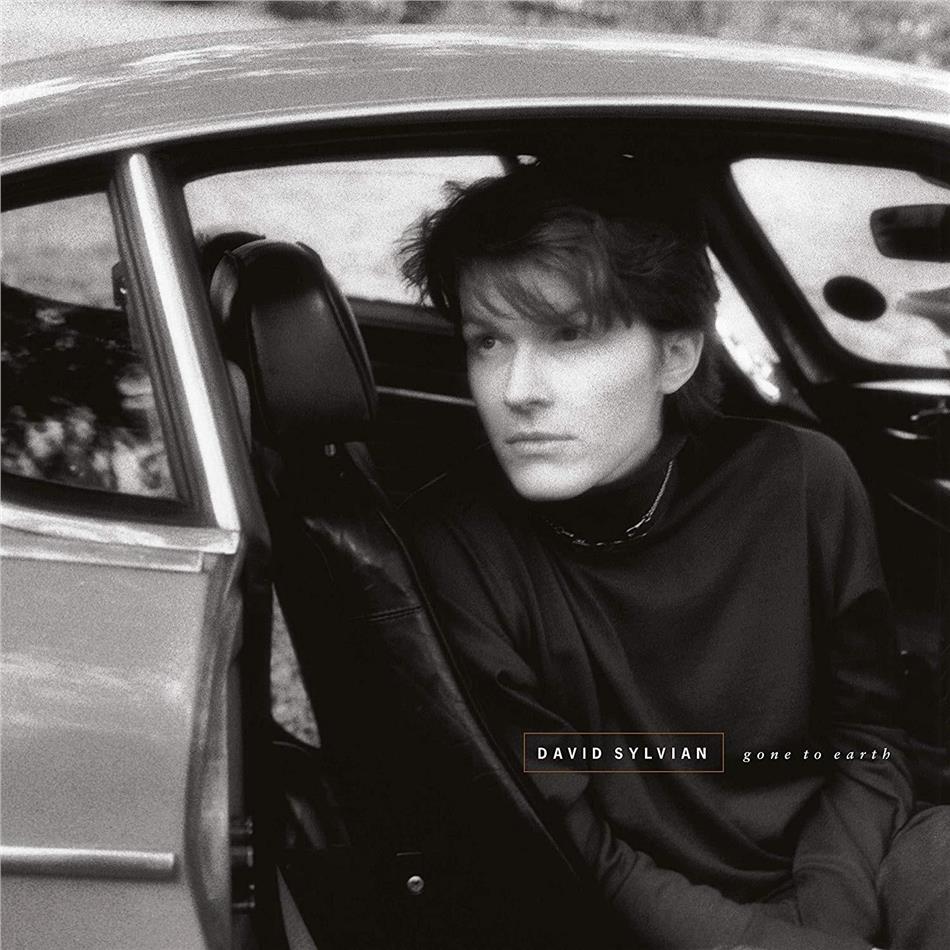 David Sylvian (Japan) - Gone To Earth 2019 Reissue, 2 LPs