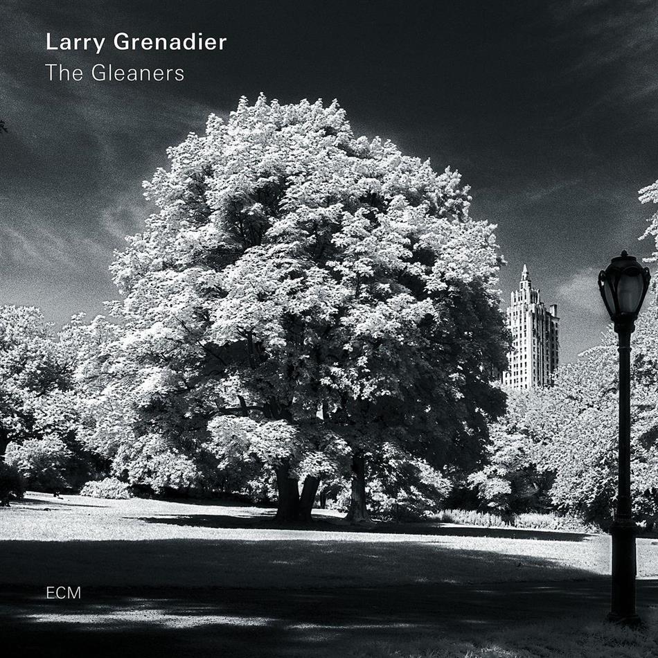 Larry Grenadier - Gleaners LP