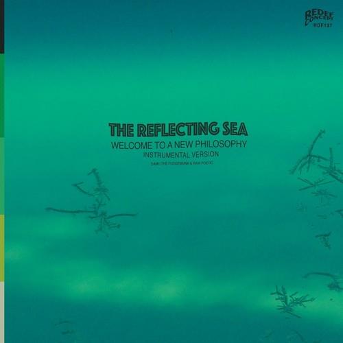 Damu The Fudgemunk & Raw - Instrumentals From The.. LP
