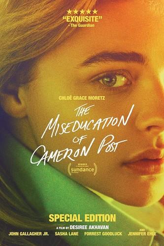 Miseducation Of Cameron Post (2018)